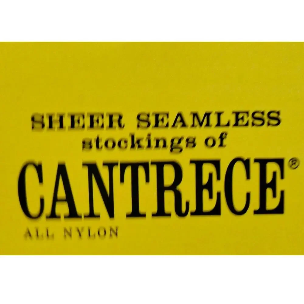 2 Packs 1960s Cantrece Suntan Size B Nylon Seamless Sheer Stockings New In Pack